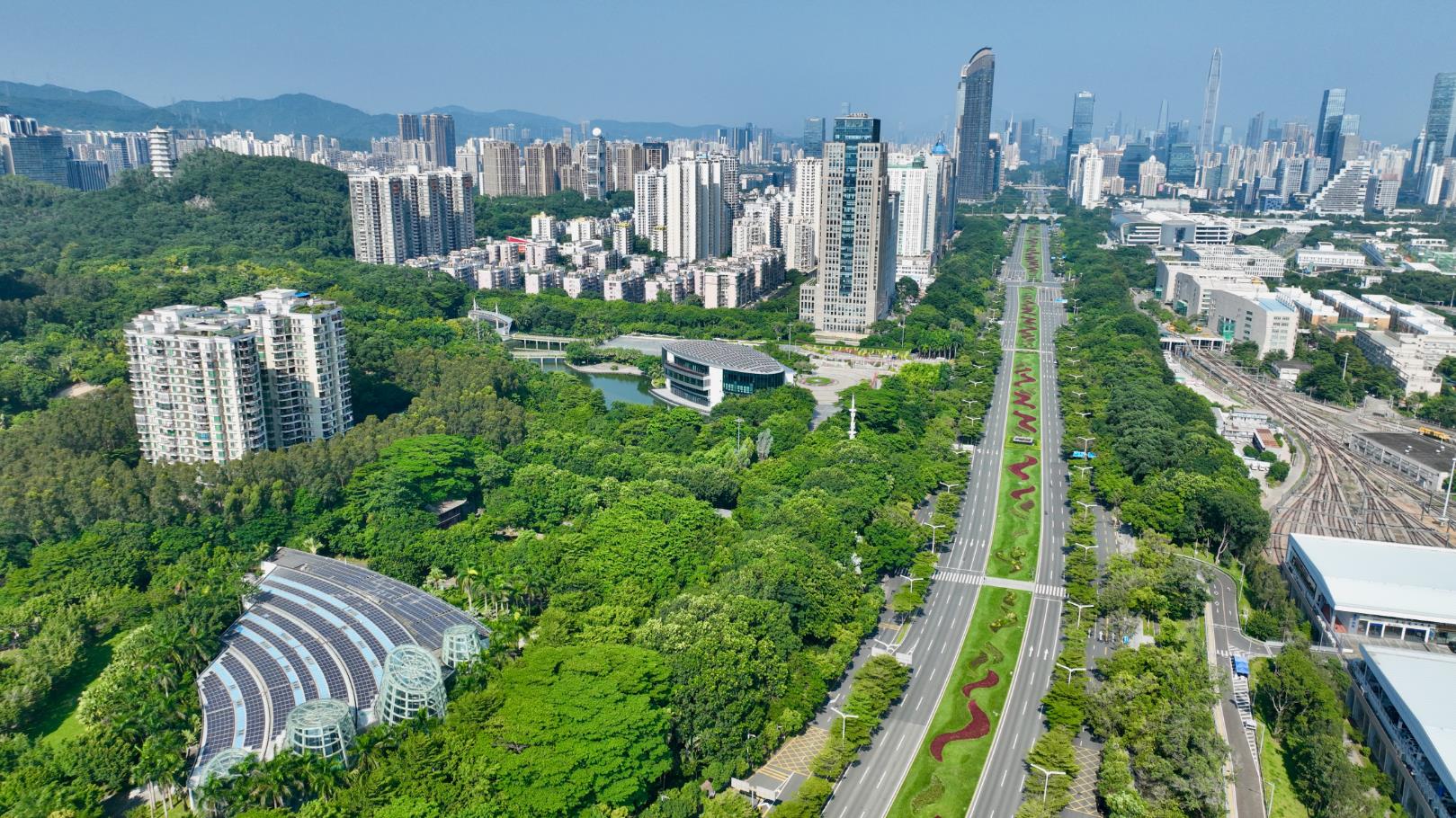 10月21日深圳新增7例確診病例和3例無症狀感染者