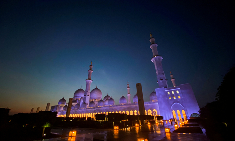 阿盟秘書長呼籲為阿拉伯聯合行動機制提供資金和政治支持