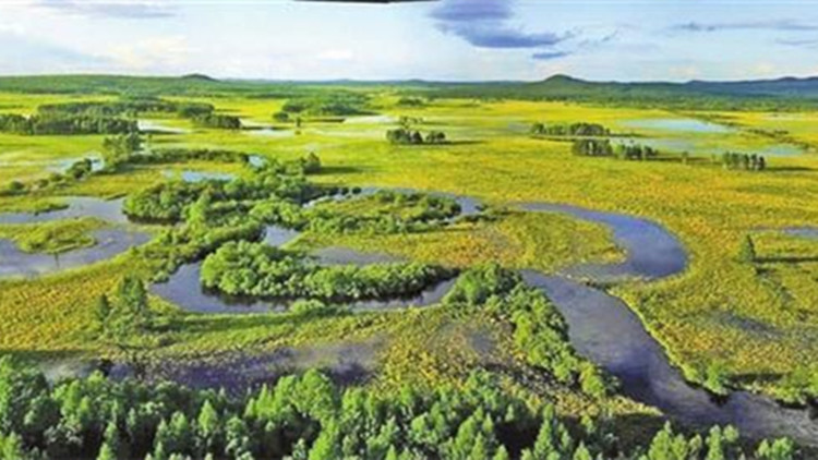 萬水千山總是情｜神州北極 大美興安