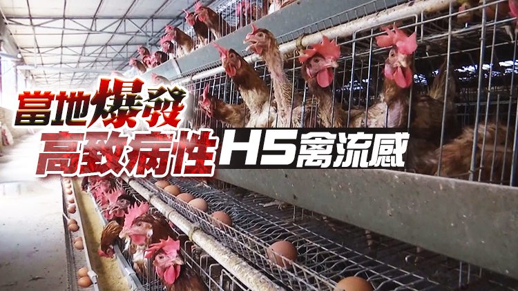 本港暫停進口日本加拿大和法國部分地區禽肉及禽類產品