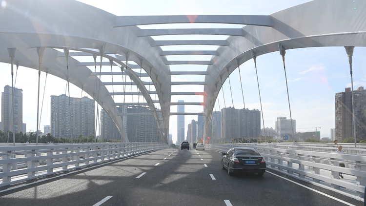 融通大灣區｜惠州首座全鋼結構特大橋正式通車