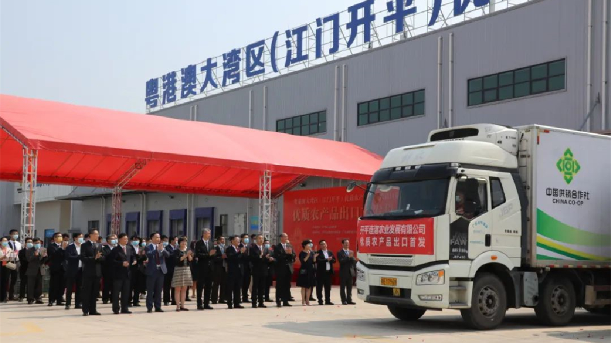 打造粵港澳大灣區「菜籃子」 開平基地首批農產品供港