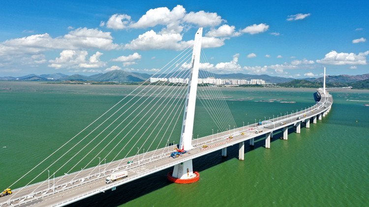 宣講二十大系列訪談 | 大灣區建國際 領先人才高地