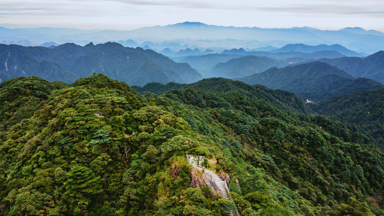 廣東韶關「創森」成功 晉升國家森林城市