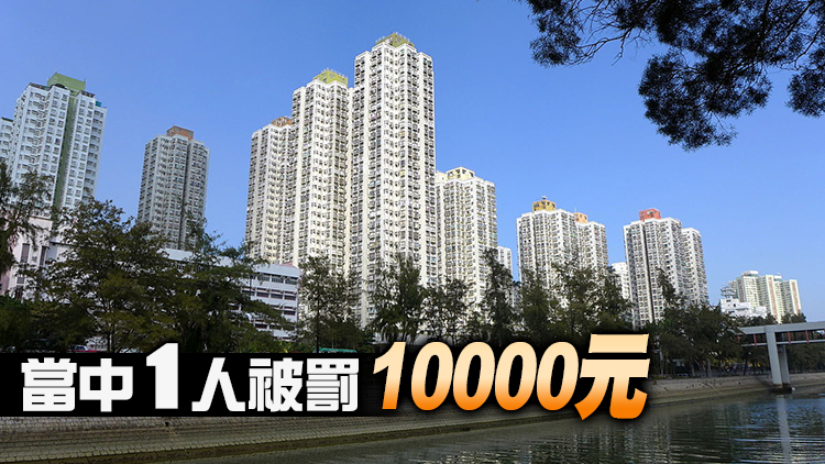 政府突擊屯門大埔兩廈 發現兩人違強檢公告