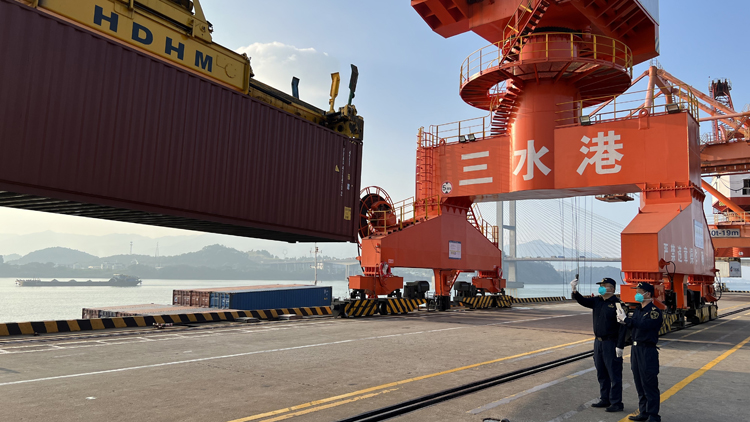 融通大灣區 | 打造高效便捷大灣區物流通道 「灣區一港通」線路14條為企節成本超5000萬元