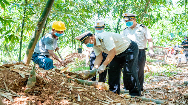 廣東前10個月外貿進出口增長1.9%  新能源產品出口表現亮眼