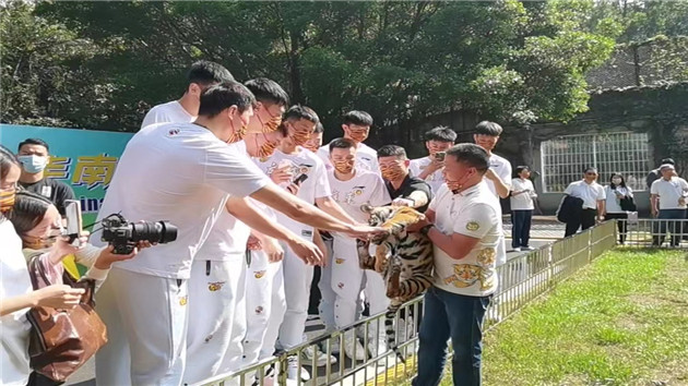 宏遠男籃韶關認養華南虎幼崽 朱芳雨易建聯翼球隊不負華南虎之名