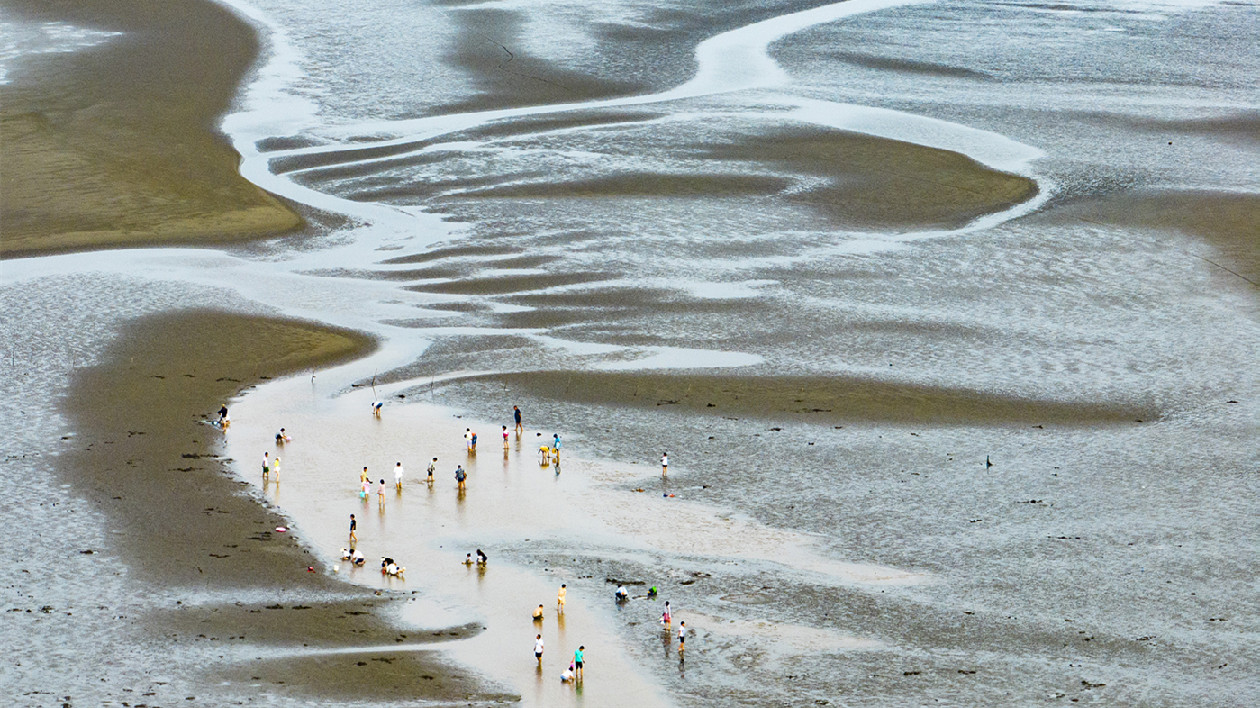 江蘇啟東：打造「繽紛百里」最美江海岸線