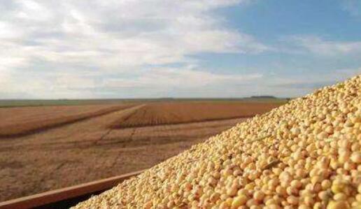 俄今年大豆收成創紀錄