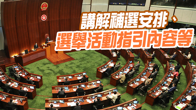 立法會選舉委員會界別補選網上候選人簡介會28日晚舉行