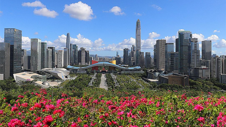 深圳鼓勵青年科技工作者探索基礎科學和前沿技術「無人區」