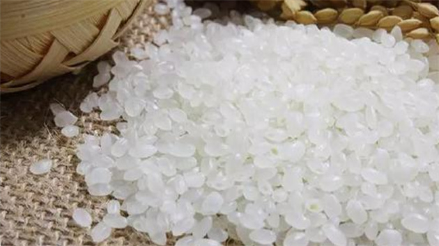 麥吃陳、稻吃新，為啥越新鮮的大米味道越好吃！