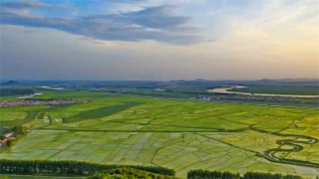 同樣是大米，為什麼都說吉林延邊大米好吃?