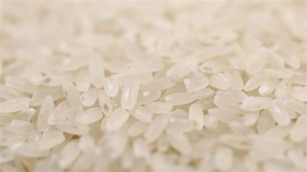 大米可以放在冰箱里儲存嗎？帶你了解真相