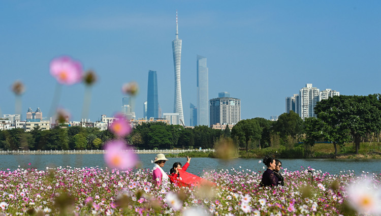 廣州本輪疫情本土感染者超16萬例 重症和危重症4例