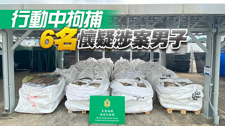 海關偵破1宗貨船走私案 檢獲約25噸凍肉