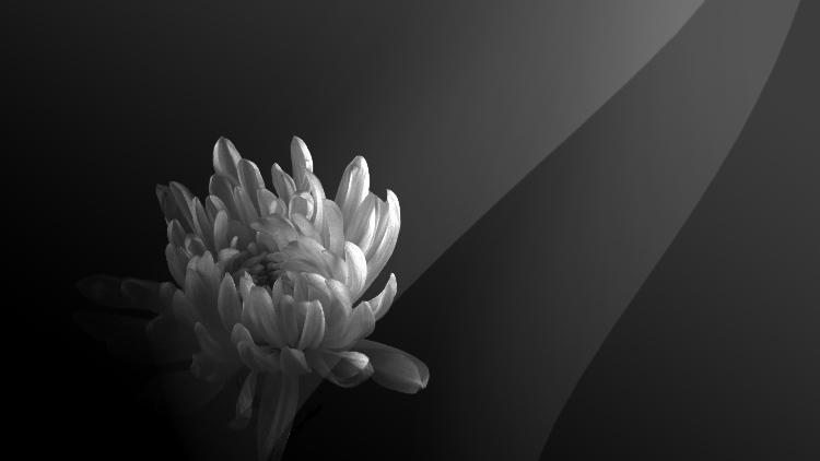 江澤民同志追悼大會在北京人民大會堂隆重舉行 習近平致悼詞