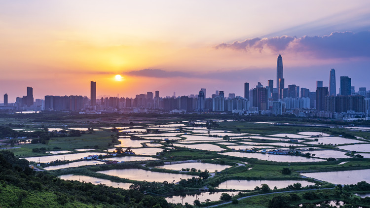 【商報時評】放眼大灣區 放膽拓商機