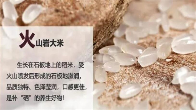 在石板火山岩上種的大米，品質如何？