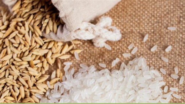 乾飯科普 | 米飯變個樣吃，血糖更聽話！