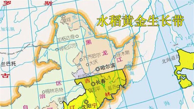 鄰居聞了都想吃的大米！不嘗嘗都是舌尖上的遺憾！