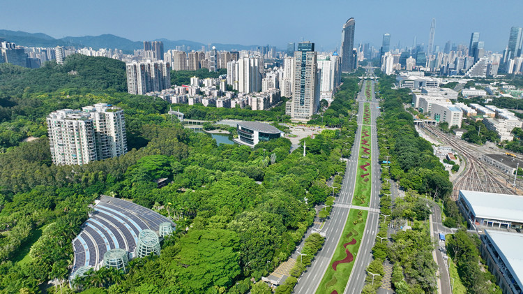 深圳將出台七大政策促消費