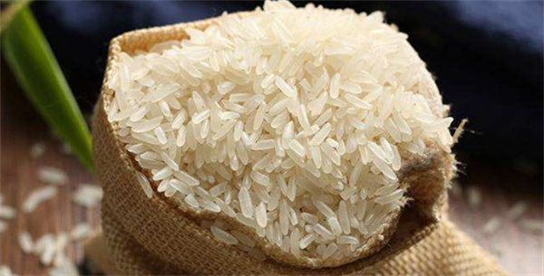 深入感受稻文化、米研討、飯故事