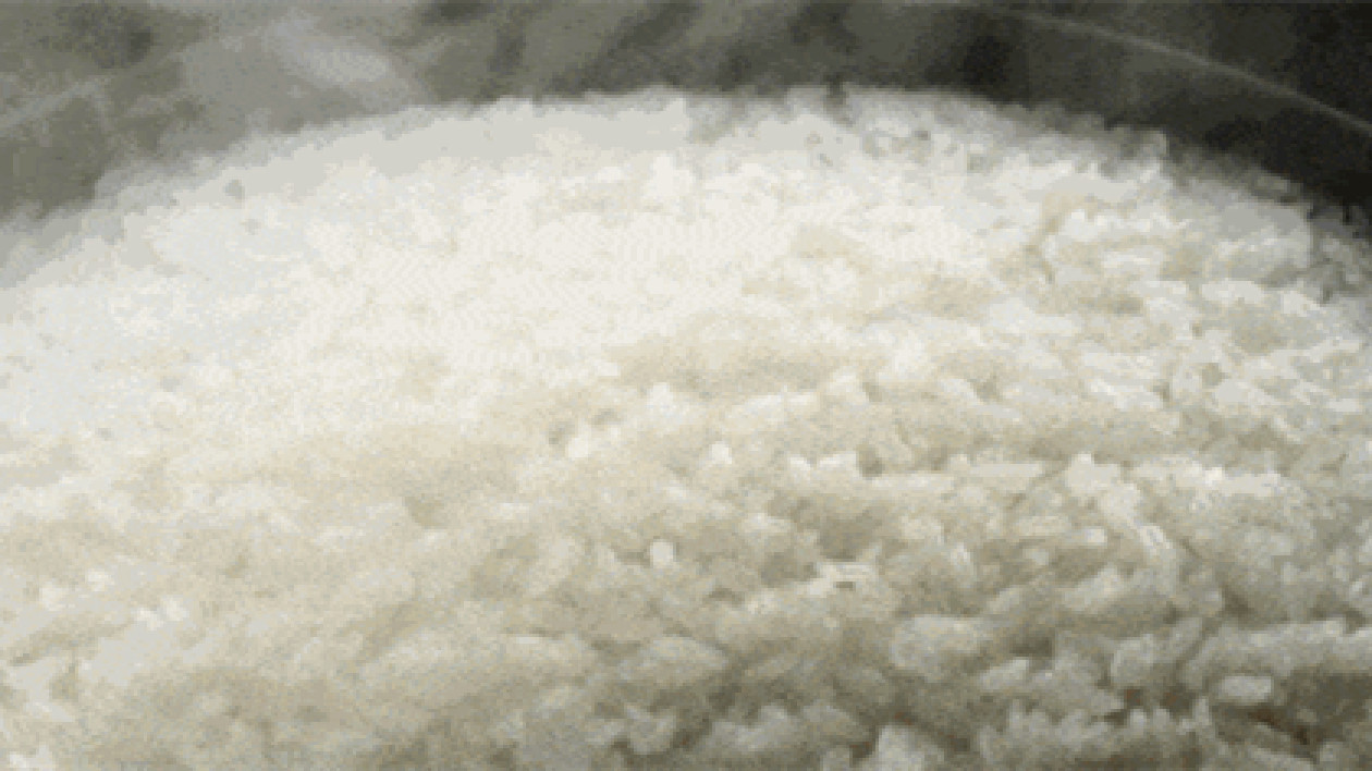 高標準嚴要求 吉林大米不負好「食」光