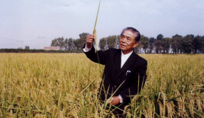 著名水稻專家楊振玉去世 享年95歲