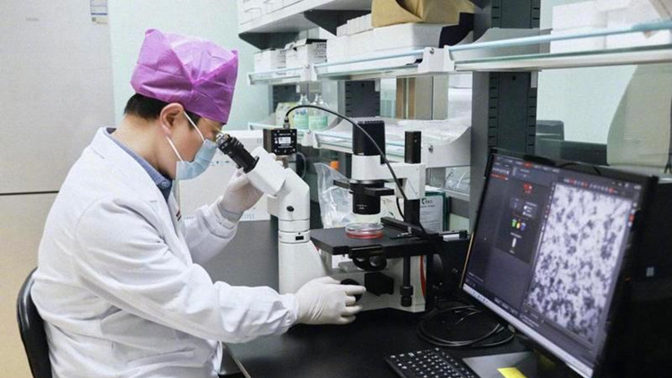 專家判定：新冠出院後 即便復陽也不傳染