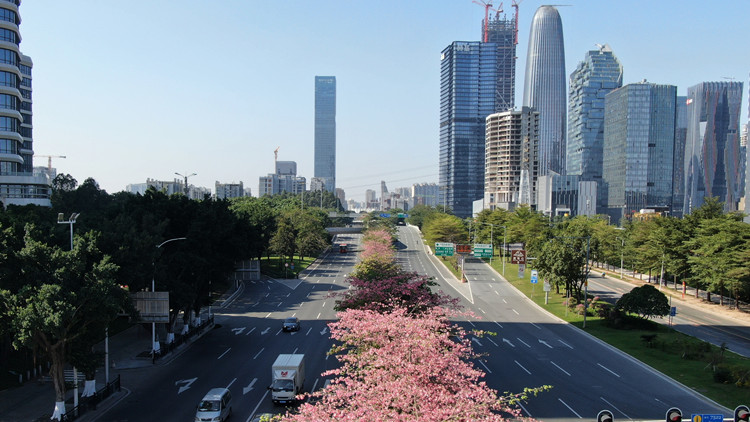 新一年度粵港知識產權合作計劃簽署 實施合作項目24項
