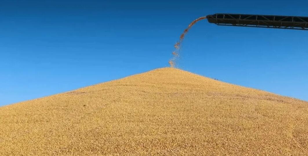 【經濟觀察】中國糧食連續8年豐產 對世界有何意義？
