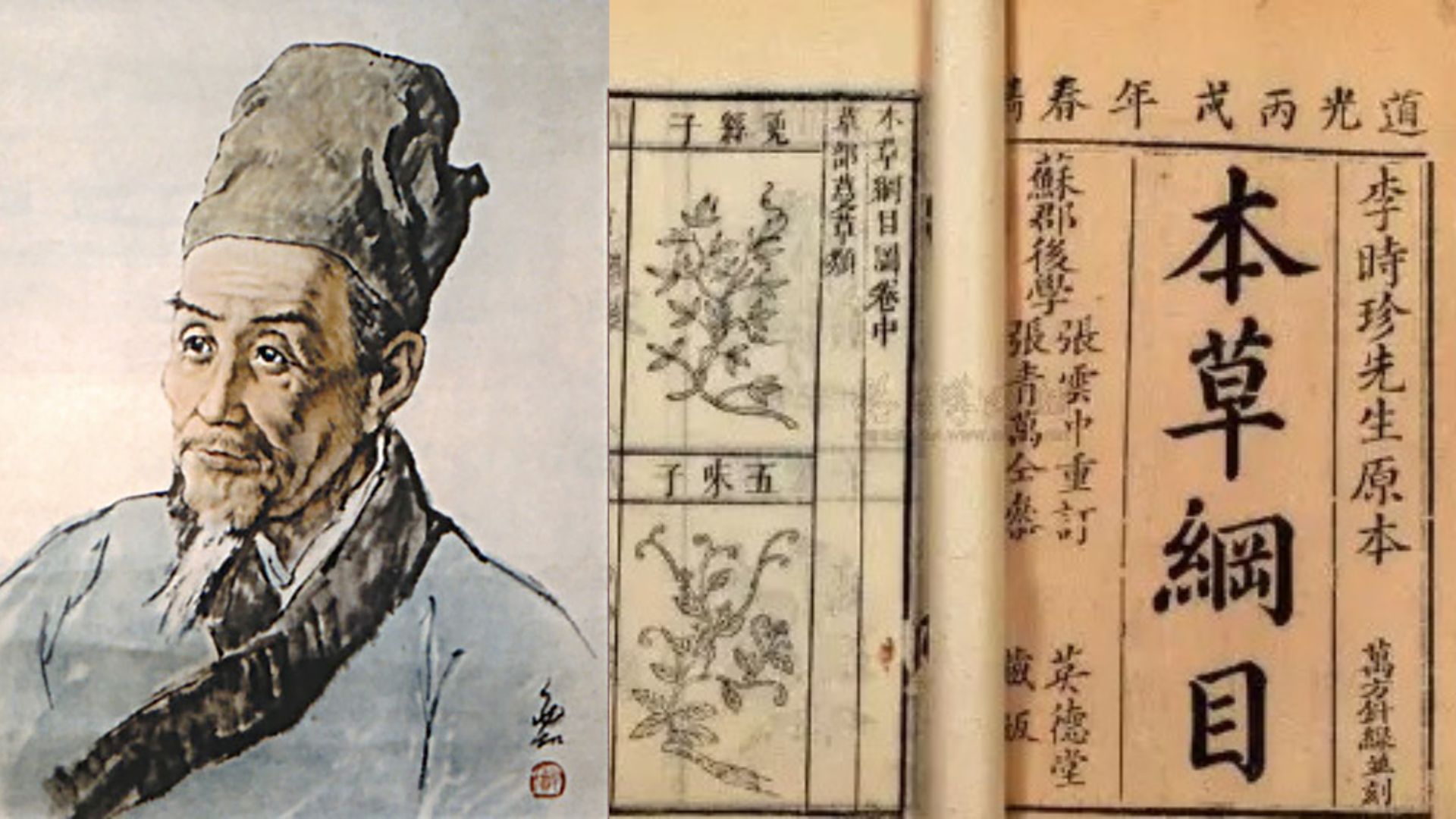 【漫話中醫】李時珍與本草綱目
