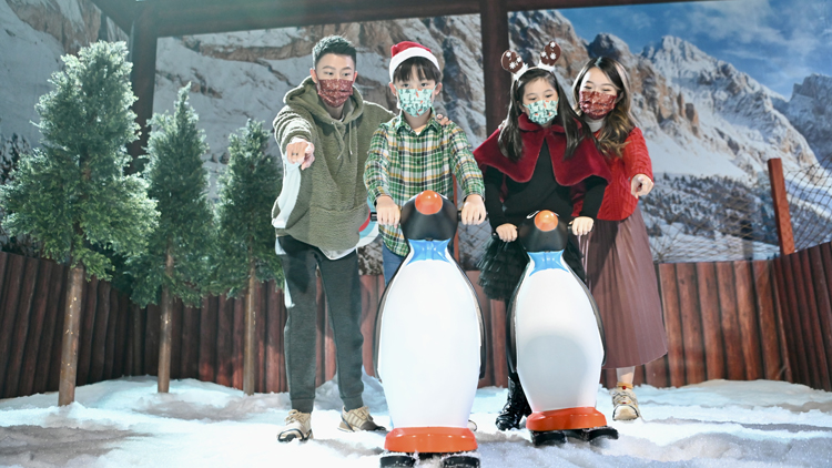 海洋公園推聖誕主題活動 真雪打造特色冬雪世界