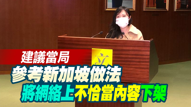 陳穎欣：更新遣返程序修例後見成效 促保安局繼續加強打擊假難民