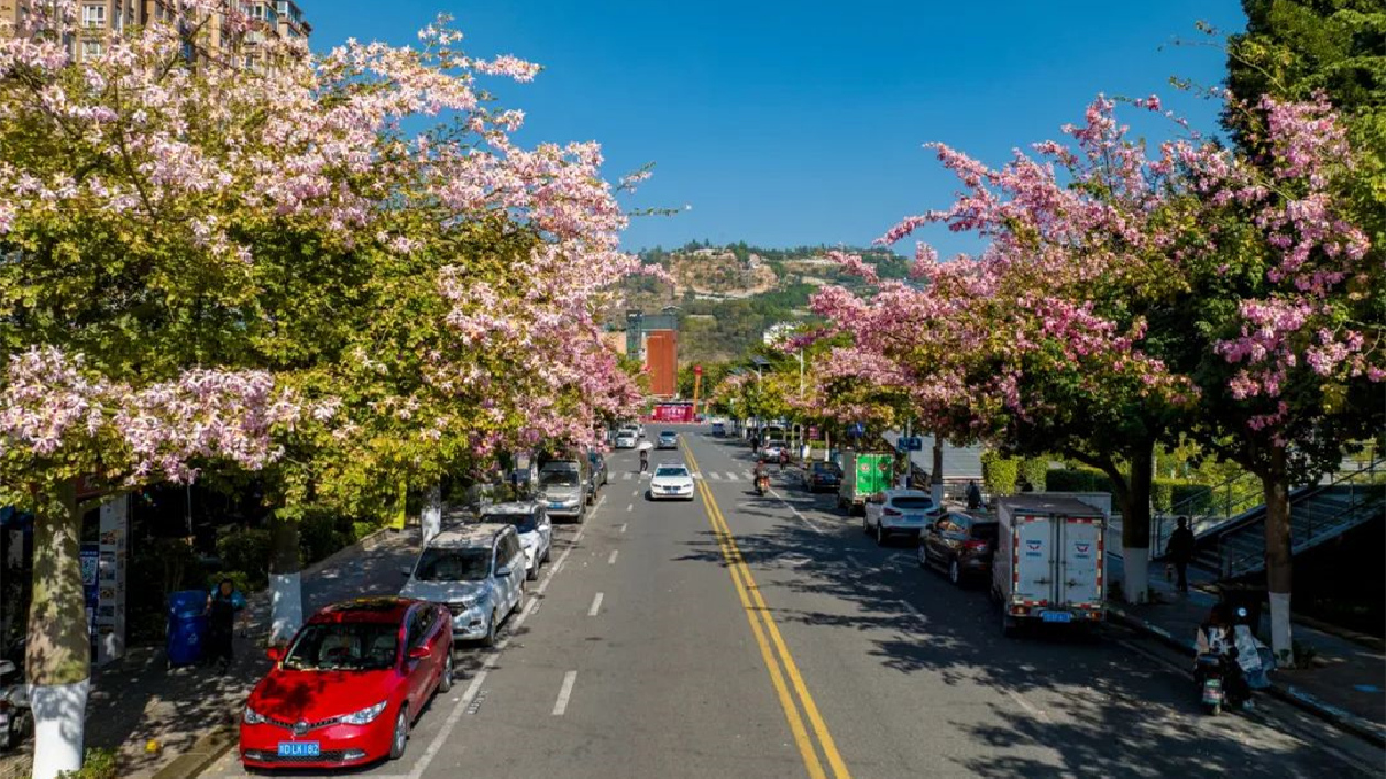 尋找關於攀枝花冬天的三個印象