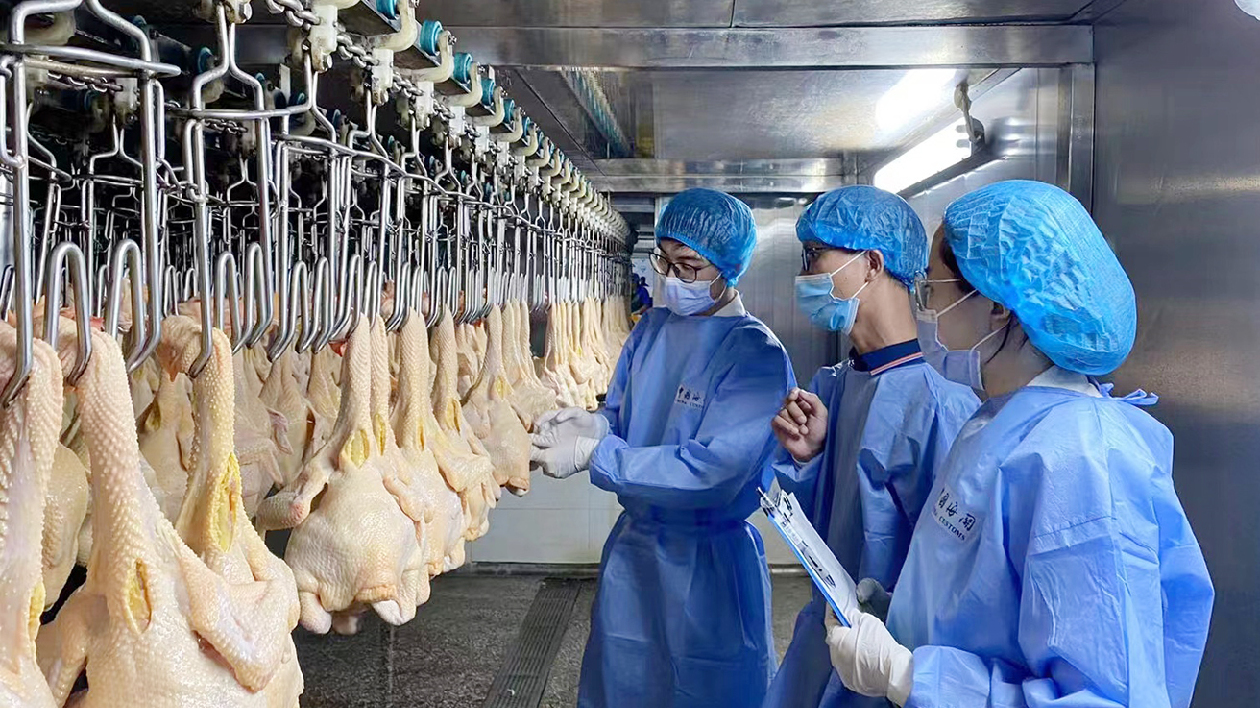 珠海斗門海關：綠色通道為澳門居民輸送新鮮美味