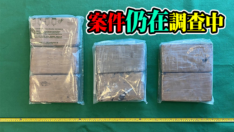 海關油塘檢獲約600萬元懷疑可卡因 拘捕1名男子