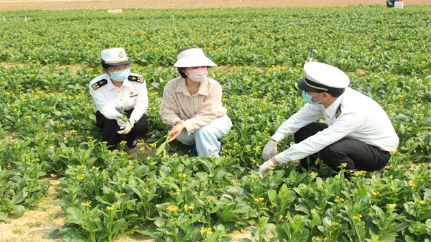 11月份揭陽進出口實現兩位數增長 進口增速位居廣東首位