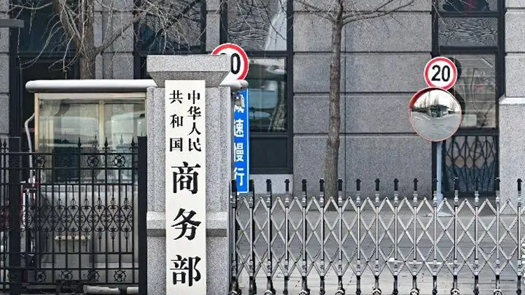 商務部世貿司負責人解讀WTO《服務貿易國內規制參考檔》規則