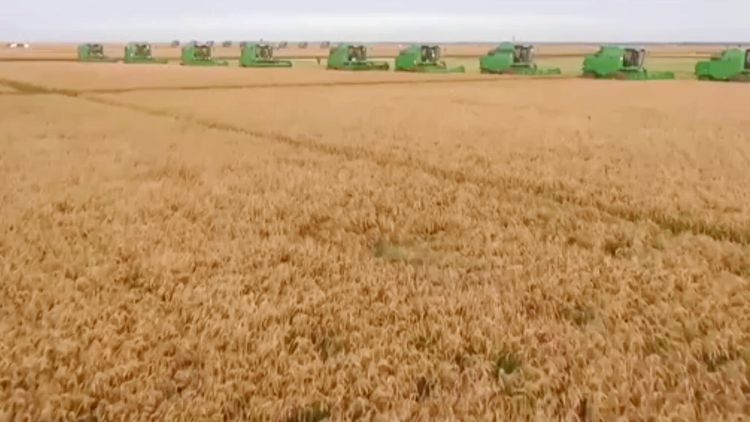 中國如何加快建設「農業強國」？中央農村工作會議明確「路線圖」