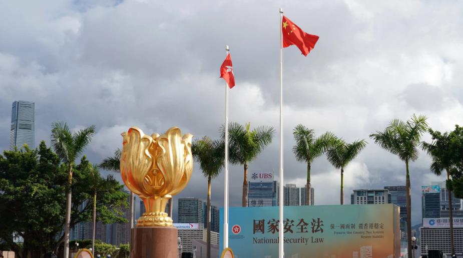 【來論】《國安法》釋法可檢成效 法律漏洞必須堵塞