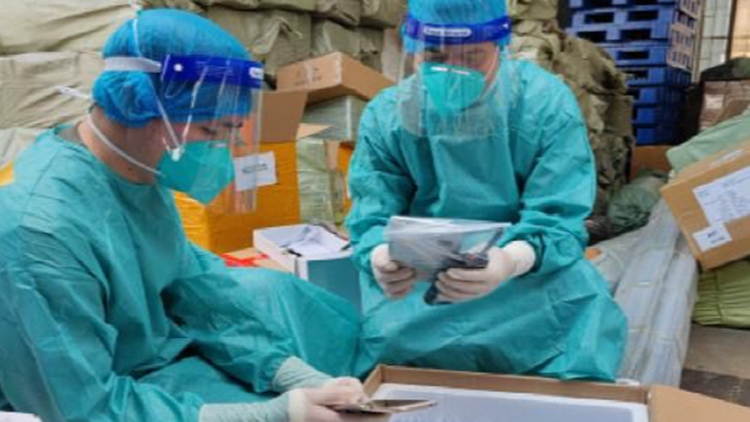 粵港澳海關完成年度第三次知識產權海關保護專項行動