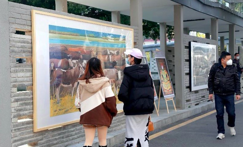 數智文博·創享未來：文博會1980油松漫城產業園大咖論道