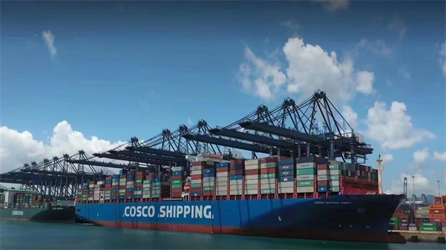 600輛新能源汽車「揚帆出海」 深圳鹽田全力護航中國「智」造