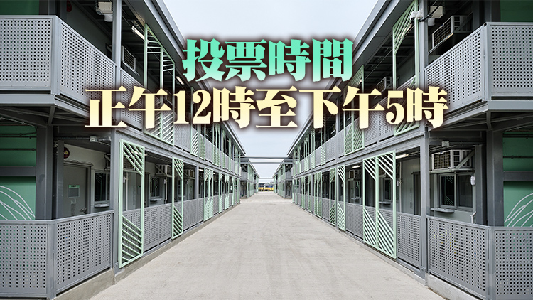 周日村代表選舉竹篙灣隔離設施設特別投票站