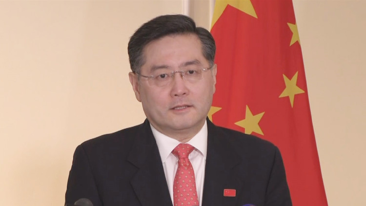 秦剛談「非洲之角和平發展構想」在埃塞進展