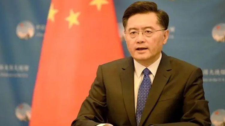 秦剛：非洲是國際合作的大舞台 不是大國博弈的角力場