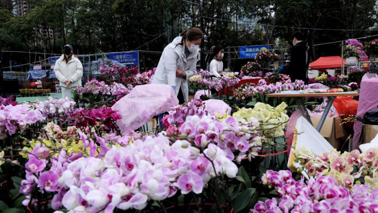 年宵市場由今起至22日在全港15區舉辦 設922個濕貨攤位